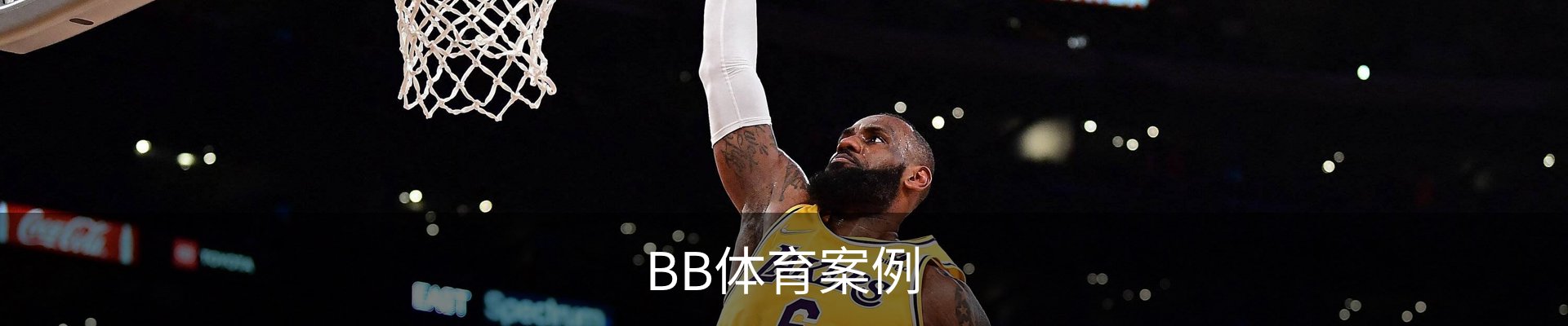 BB体育案例